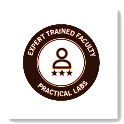 Expert Trained Faculty & Practical Labs